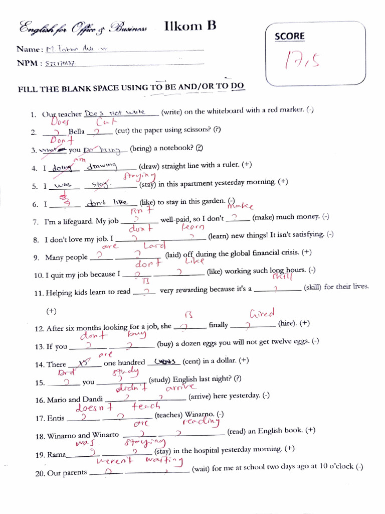 English Grammar Exercise | PDF