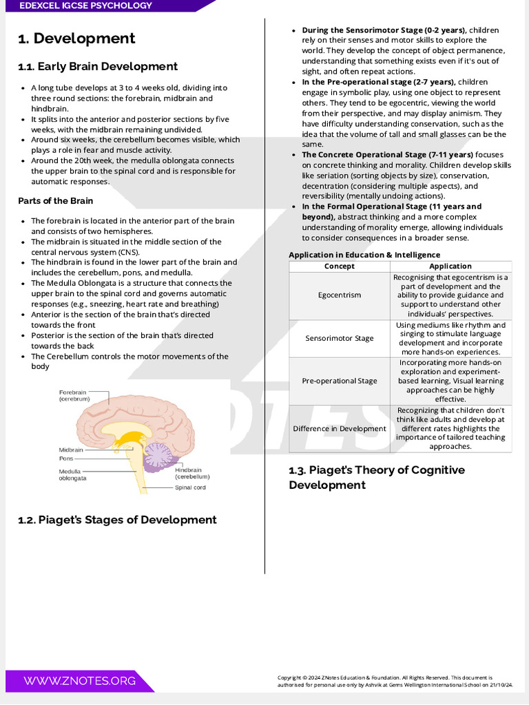 Edexcel IGCSE Psychology Overview | PDF | Memory | Recall (Memory)
