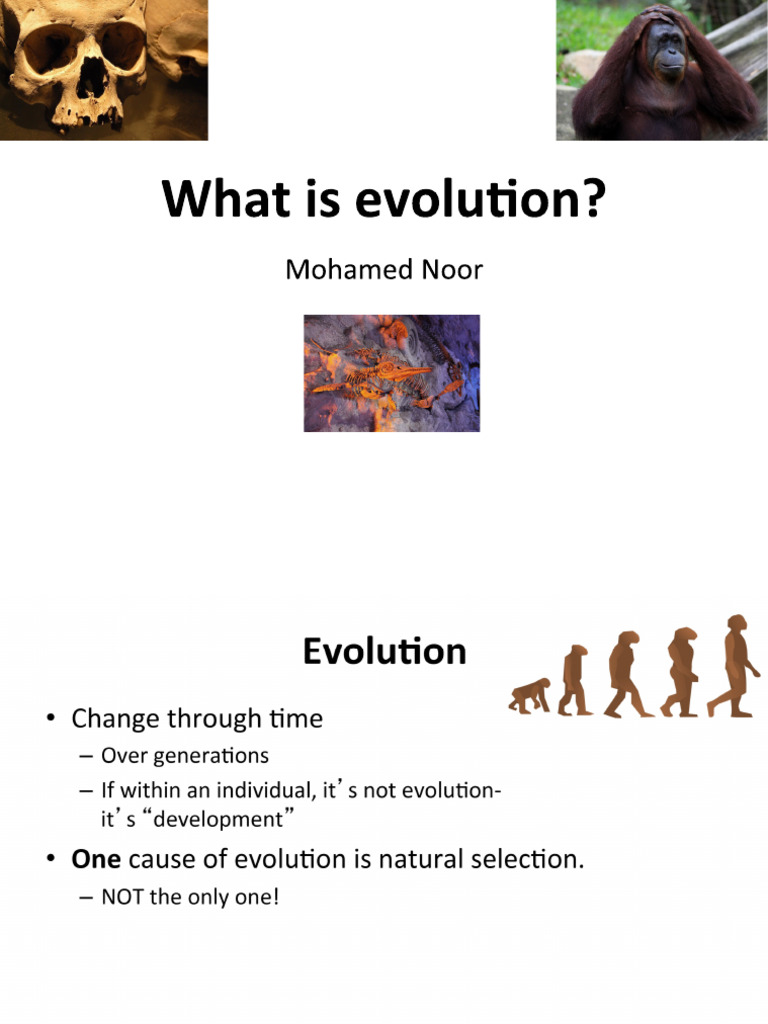 What Is Evolution | PDF