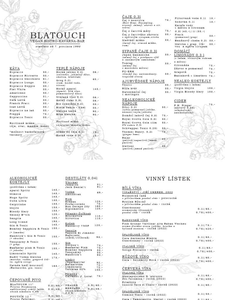 Menu CZ | PDF