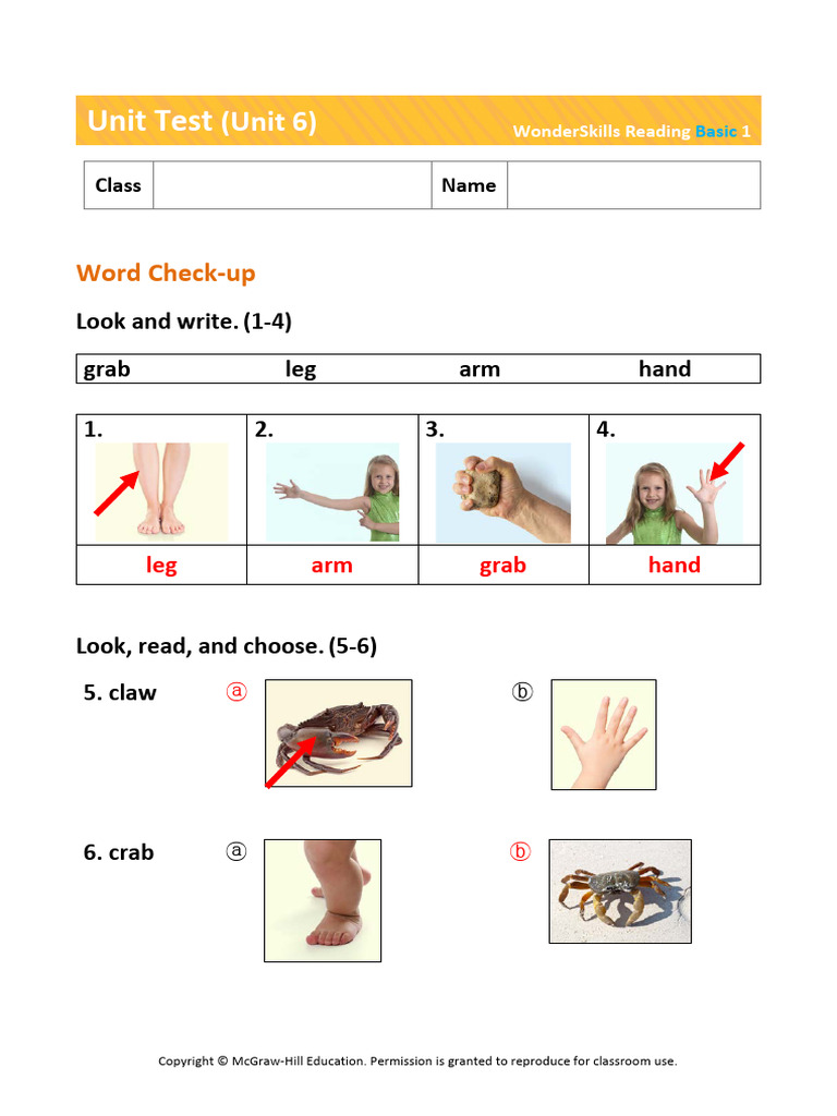 Word Check-up and Comprehension Test | PDF