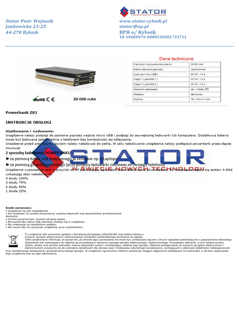 Powerbank Z81 | PDF