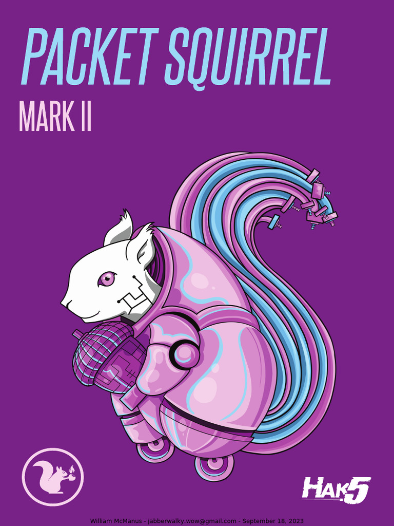 Packet Squirrel Mark II Setup Guide | PDF | Computer Network | Router ...