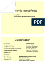 IdentifikasiKlasifikasiAgronomic Insect Pests
