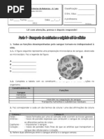 Teste Ciências 6º ano
