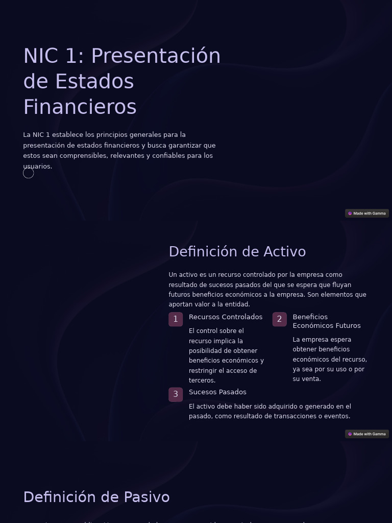 Principios de NIC 1 en Estados Financieros | PDF | Business | Contabilidad