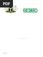 COREN Registration Guidelines for Engineers | PDF | Engineer