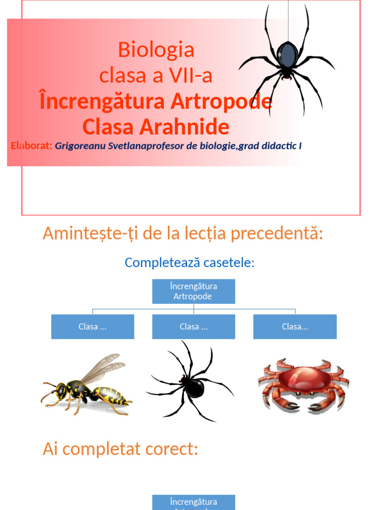 Partajez Biologia Clasa 7a Increngatura Artropode Clasa Arahnide ...