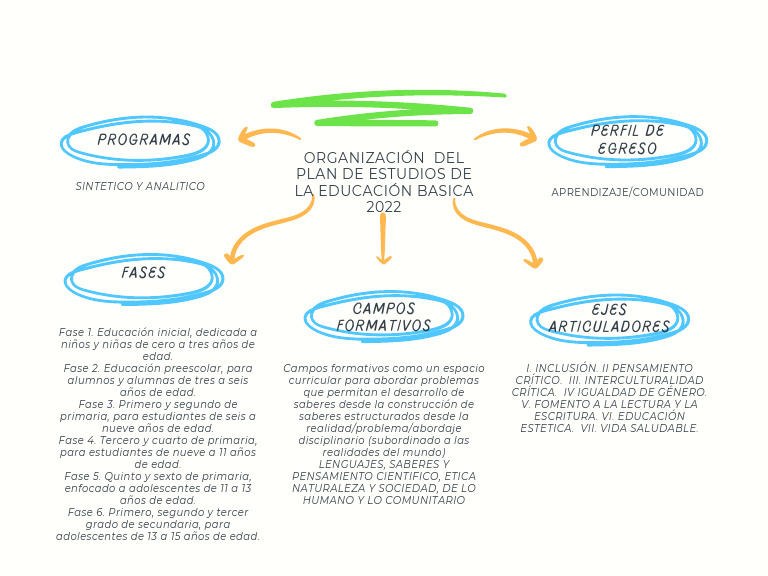 Organización del Plan de Estudios 2022 | PDF