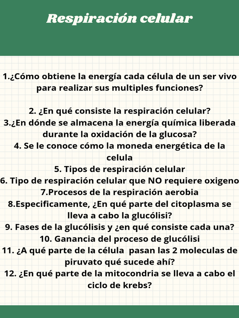 Photosynthesis and Cellular Respiration Educational Poster in Orange