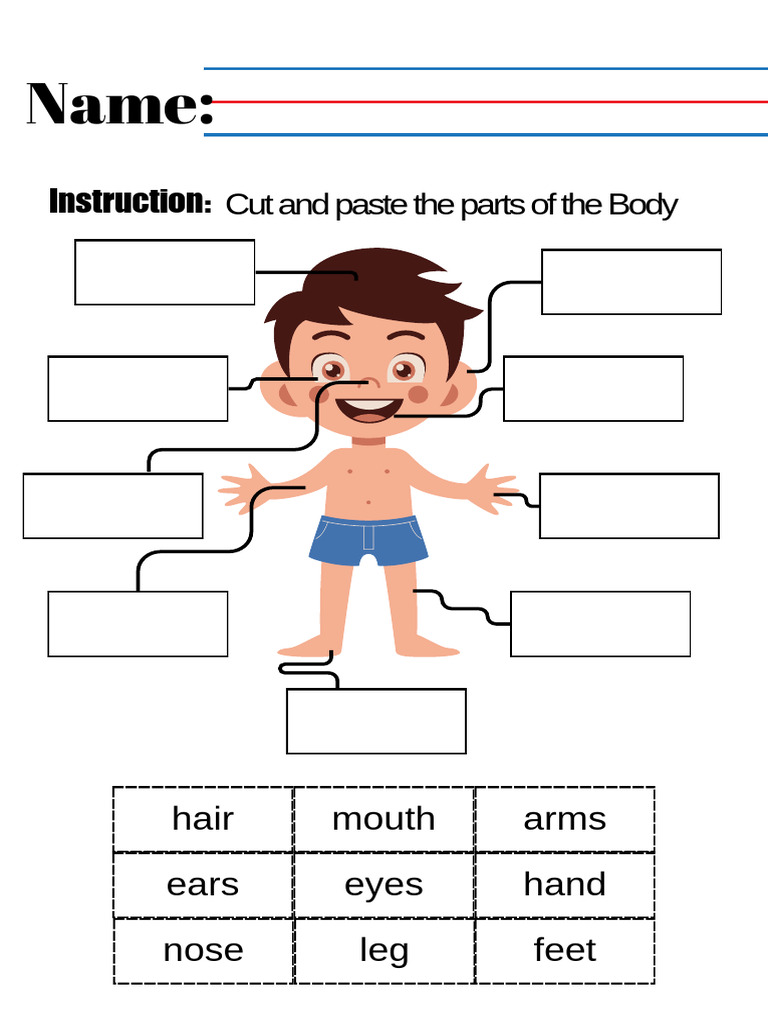 Kindergarten Parts of The Body Worksheet Template | PDF