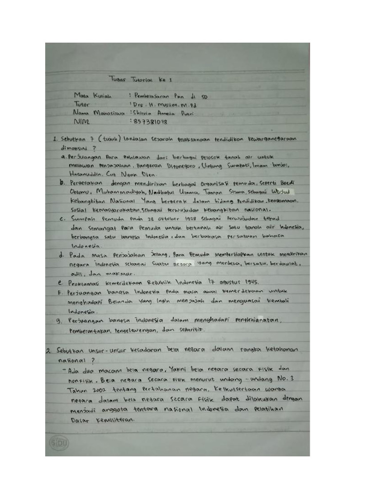 PKN | PDF