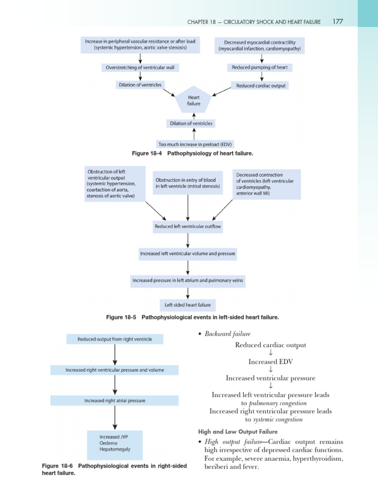 Heart Failure and Shock Overview | PDF | Shock (Circulatory) | Heart ...