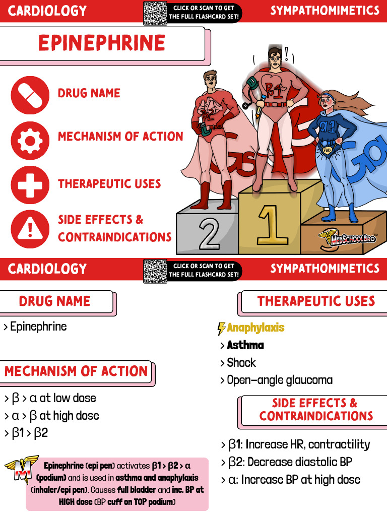 Pharm Flashcards Free Preview | PDF | Drugs | Medical Specialties - Unit 13 And 14 Pharm Flashcards