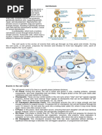 Cell Cycle and Division: Mitosis & Meiosis | PDF | Meiosis | Mitosis