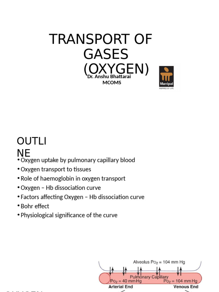 Transport of Oxygen | PDF | Hemoglobin | Blood