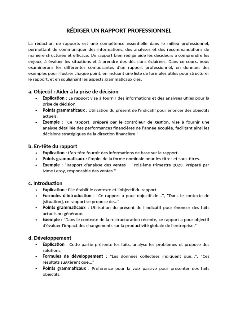 Rédaction d'un Rapport Professionnel | PDF | Phrase | Commercialisation