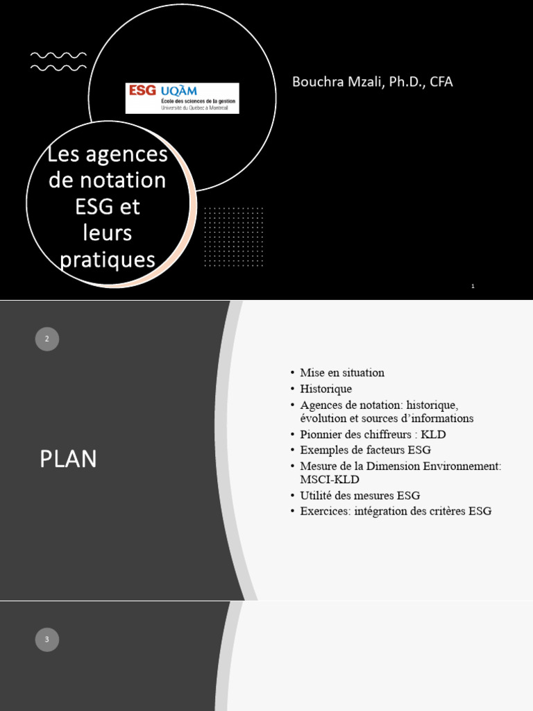 Pratiques des agences de notation ESG | PDF | Évolution de carrière ...