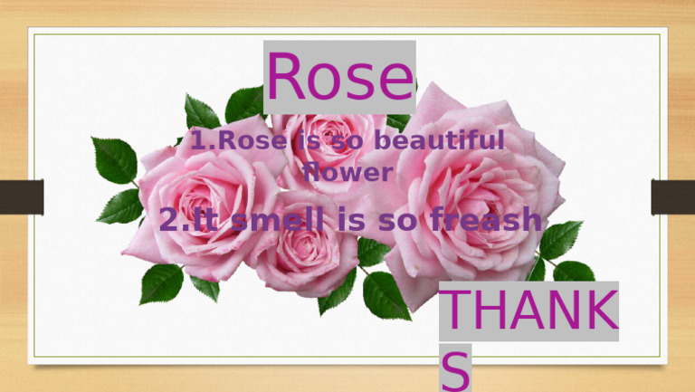 Rose: A Beautiful and Fresh Flower | PDF