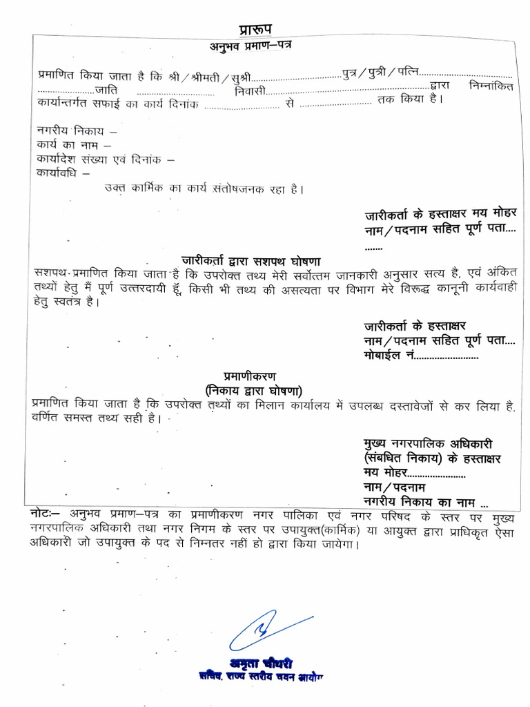 Safai Format | PDF