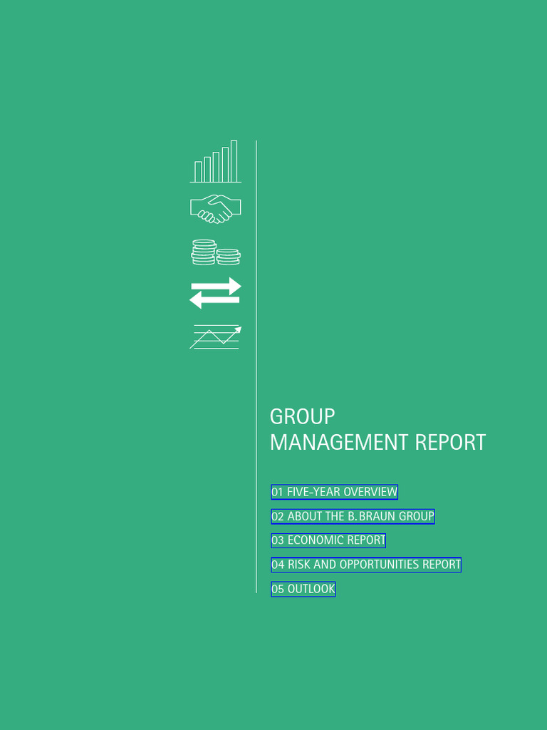 2019 Group Management Report | PDF | Surgery | Intravenous Therapy