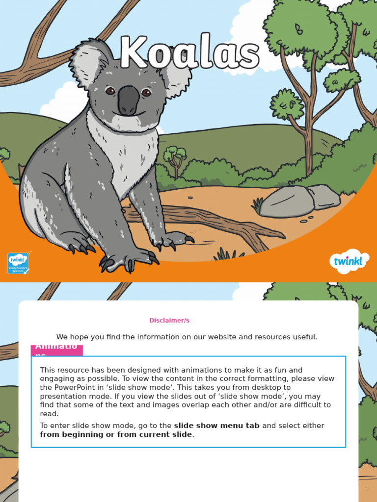 Koala Facts for Young Learners | PDF | Koala | Eucalyptus