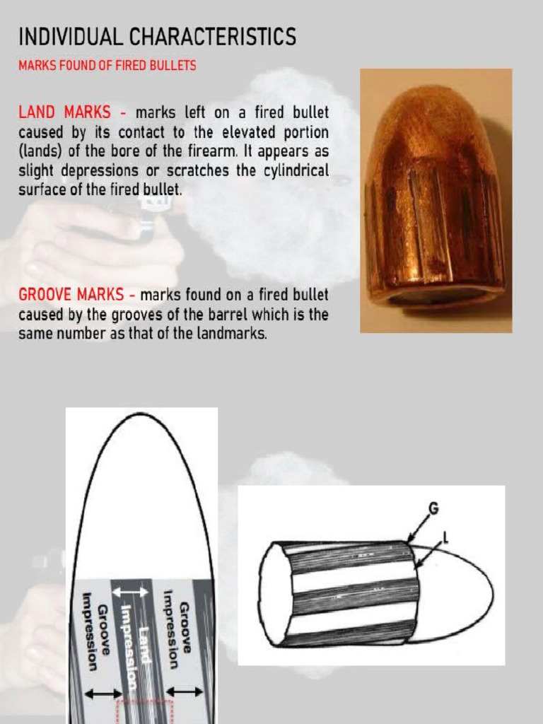 Fs 6 PPT 6 Forensic Ballistics | PDF