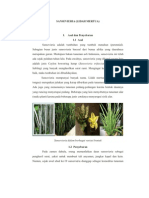 Download lidah mertua by nurfitrianacahpkl SN79299552 doc pdf