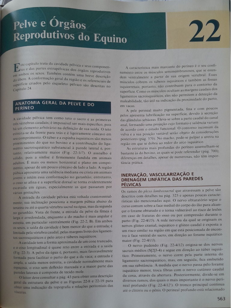 Órgãos Reprodutivos | PDF