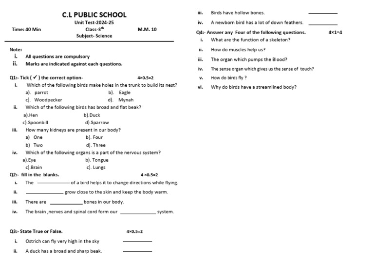 Class 3 | PDF