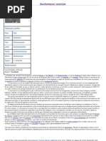 Download Saccharomyces cerevisiae by Diana Laura Estrada Lopez SN79301006 doc pdf