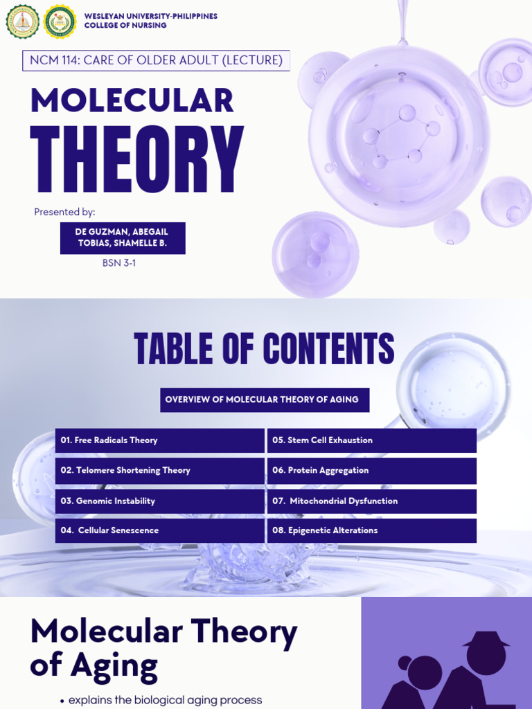 Molecular Theories of Aging Explained | PDF | Senescence | Dna Repair