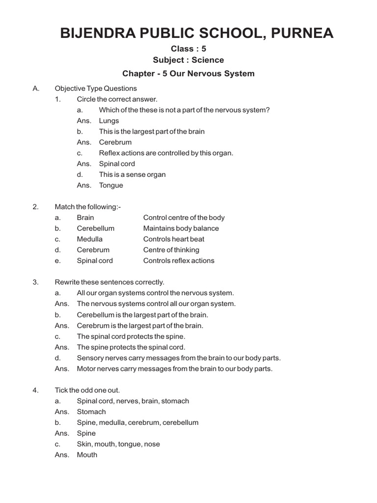 Class 5 Subject Science Chapter 5 Our Nervous System | PDF | Central ...