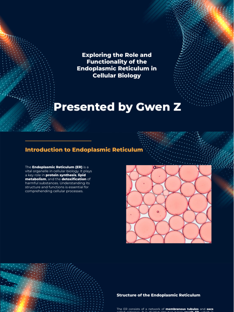 Endoplasmic Reticulum: Key Functions | PDF | Endoplasmic Reticulum ...