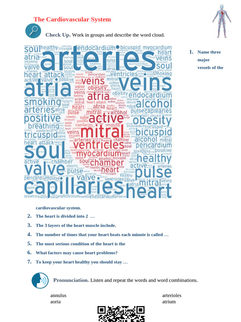 Introduction to the Cardiovascular System | PDF | Heart | Heart Valve