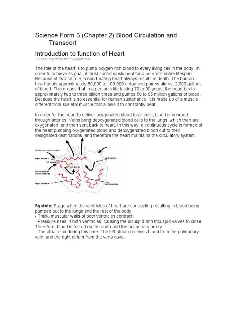 Science Form 3 Chapter 2 | PDF