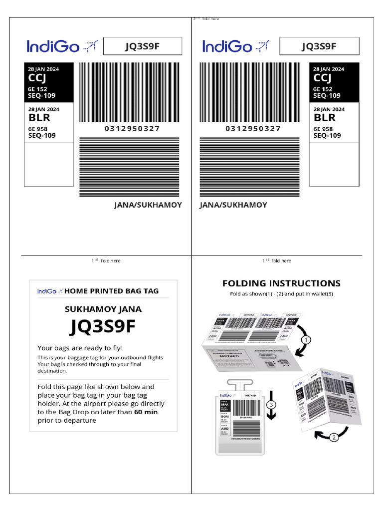 Baggage Tag | PDF