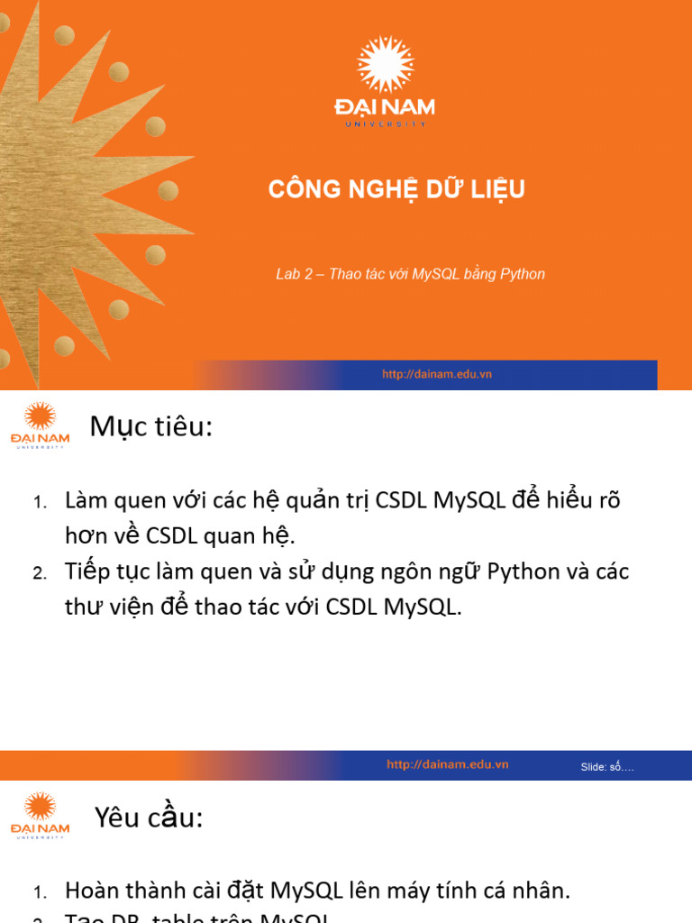 DNU DataTech Lab2.1 | PDF