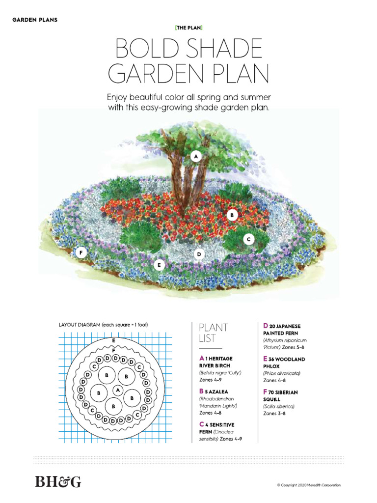 Bold Shade Garden | PDF