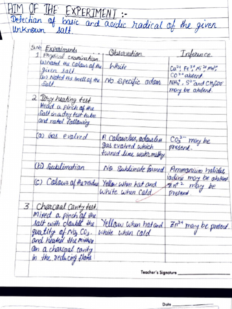 Experiment 13: Chemical Tests Overview | PDF