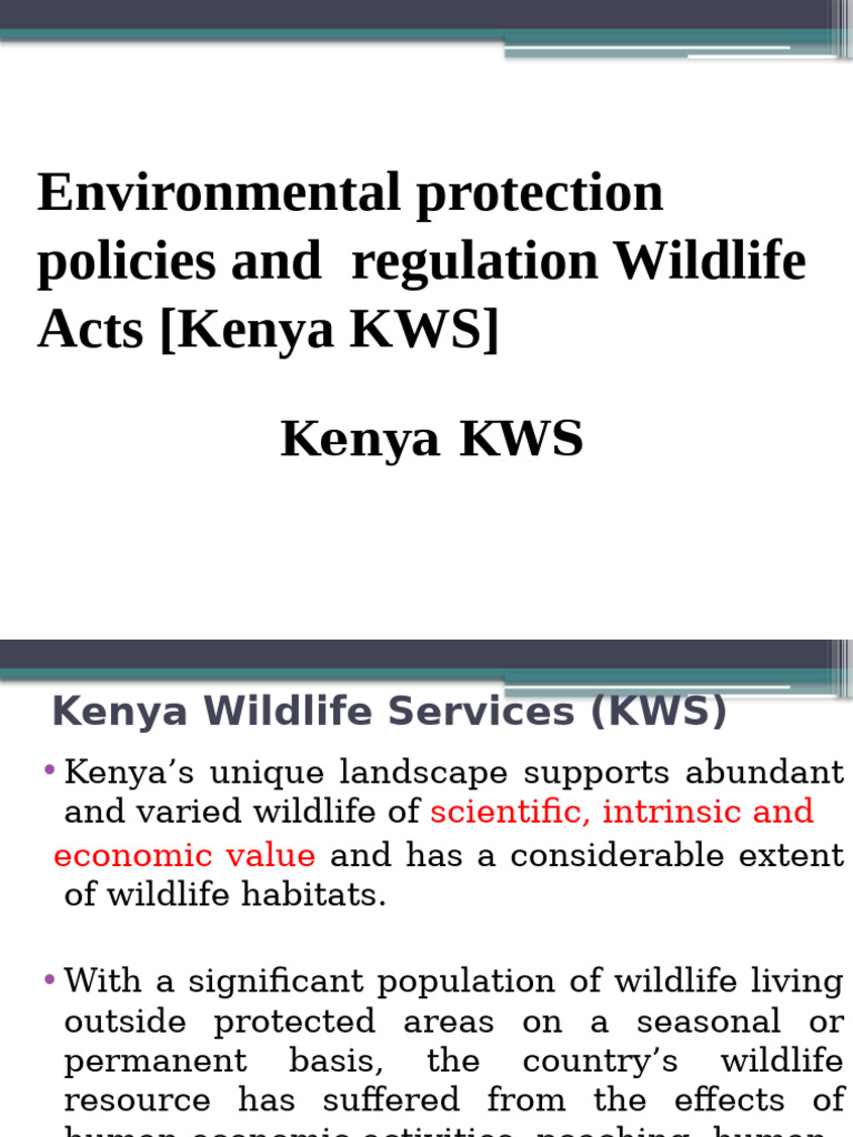 ENV3500 WEEK 12b Kenya Wildlife Services Role Rev | PDF | Illegal Drug ...