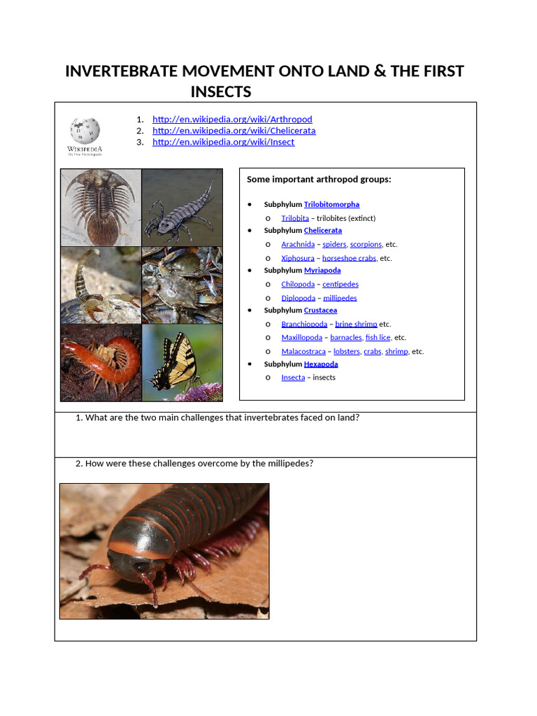04 - Invertebrate Movement Into The Land and First Insects | PDF ...