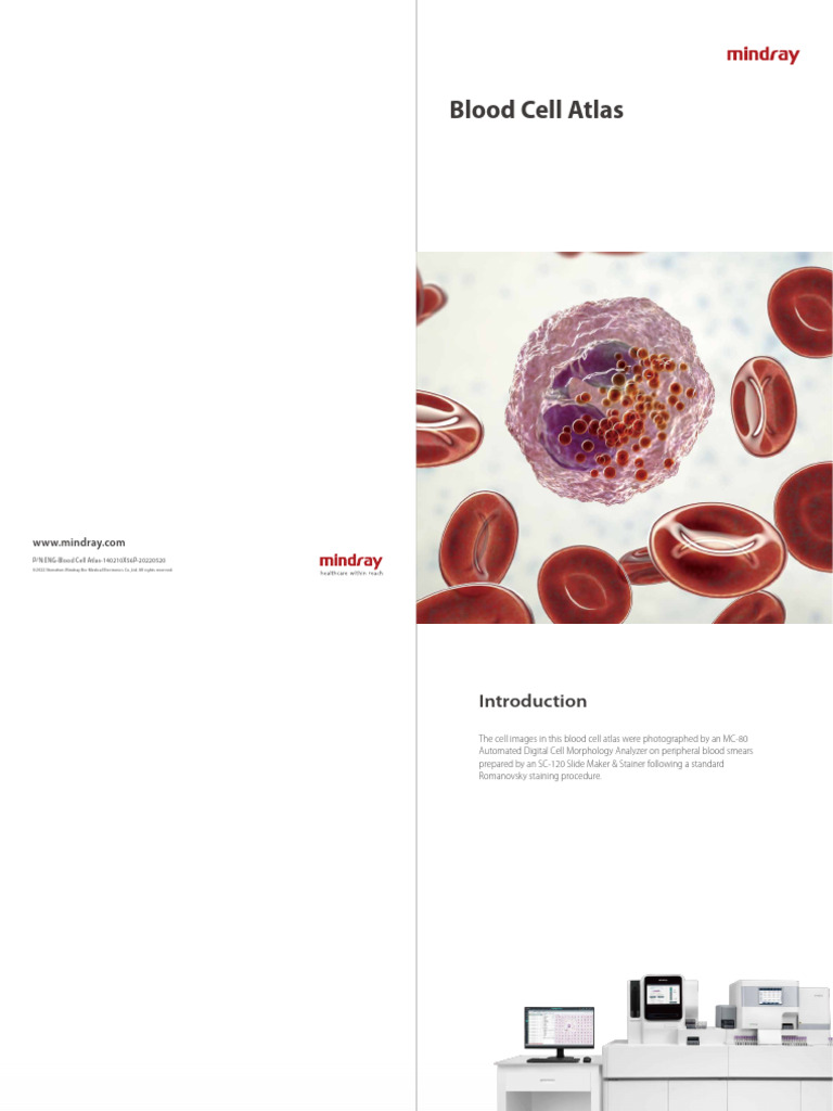 Blood Cell Atlas Overview | PDF | White Blood Cell | Granulocyte