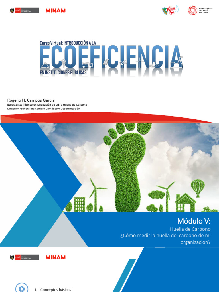 Medición de la Huella de Carbono Organizacional | PDF | Gases de efecto ...