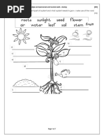Grade R Term 2 Assessment Plan 2024 | PDF | Shape | Mathematics