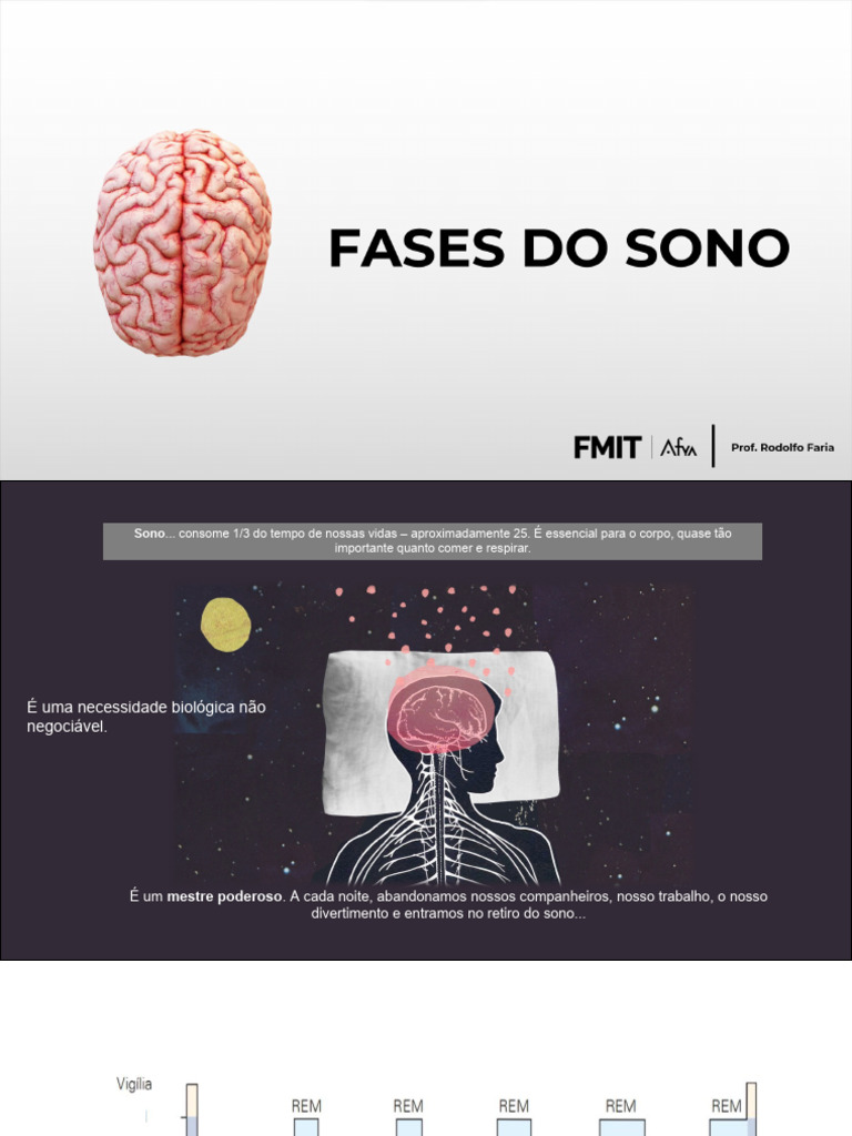 Fases Do Sono 2 Pdf Dormir Cérebro