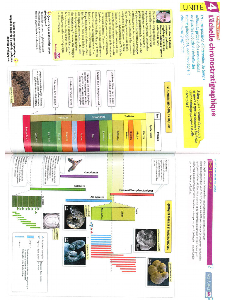 Strati | PDF