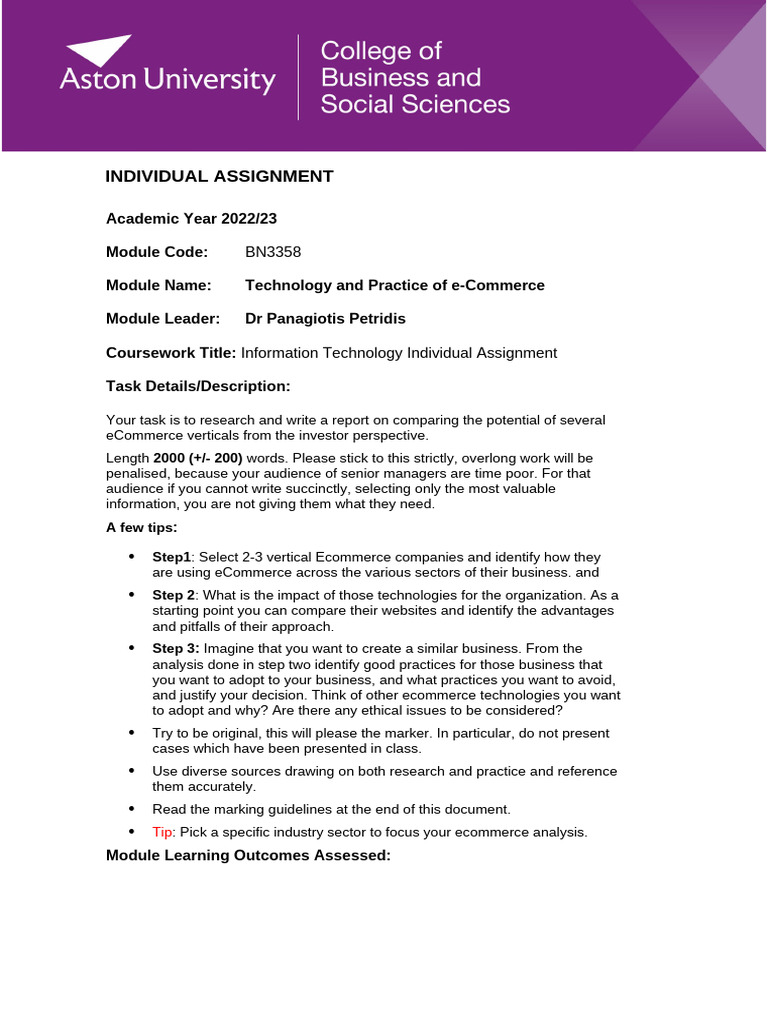 BN3358 RD Individual Coursework | PDF | E Commerce | Cognition