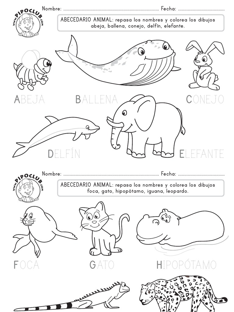 Abecedario de Animales para Colorear | PDF | Arte