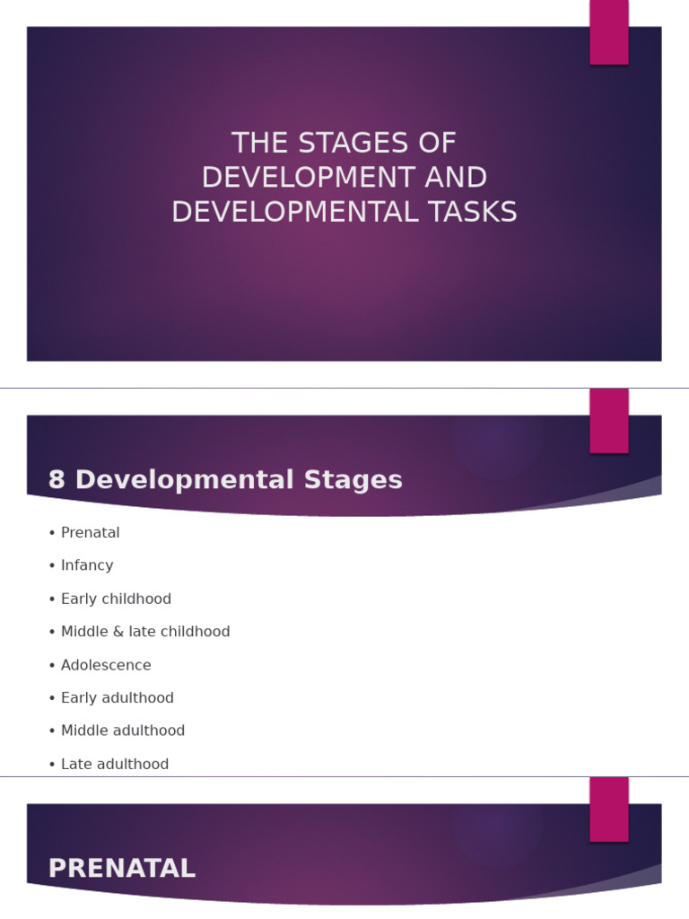 Developmental Stages Overview | PDF | Fetus | Embryo
